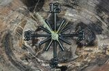 Wide Arizona Petrified Wood Clock #66830-1